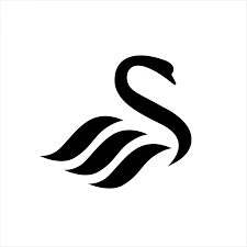 swanseacity-sports-club.pages.dev favicon